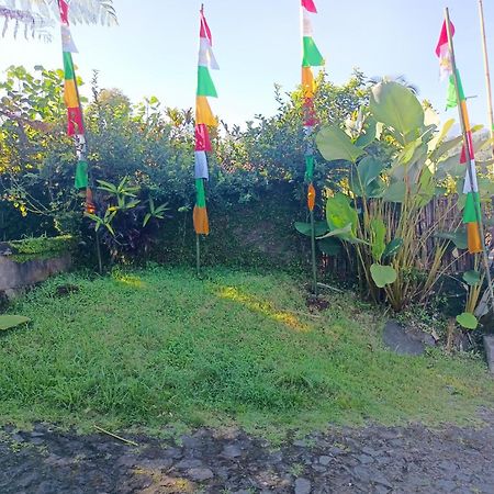 Amartya Puri Green Cottages Munduk  Bagian luar foto