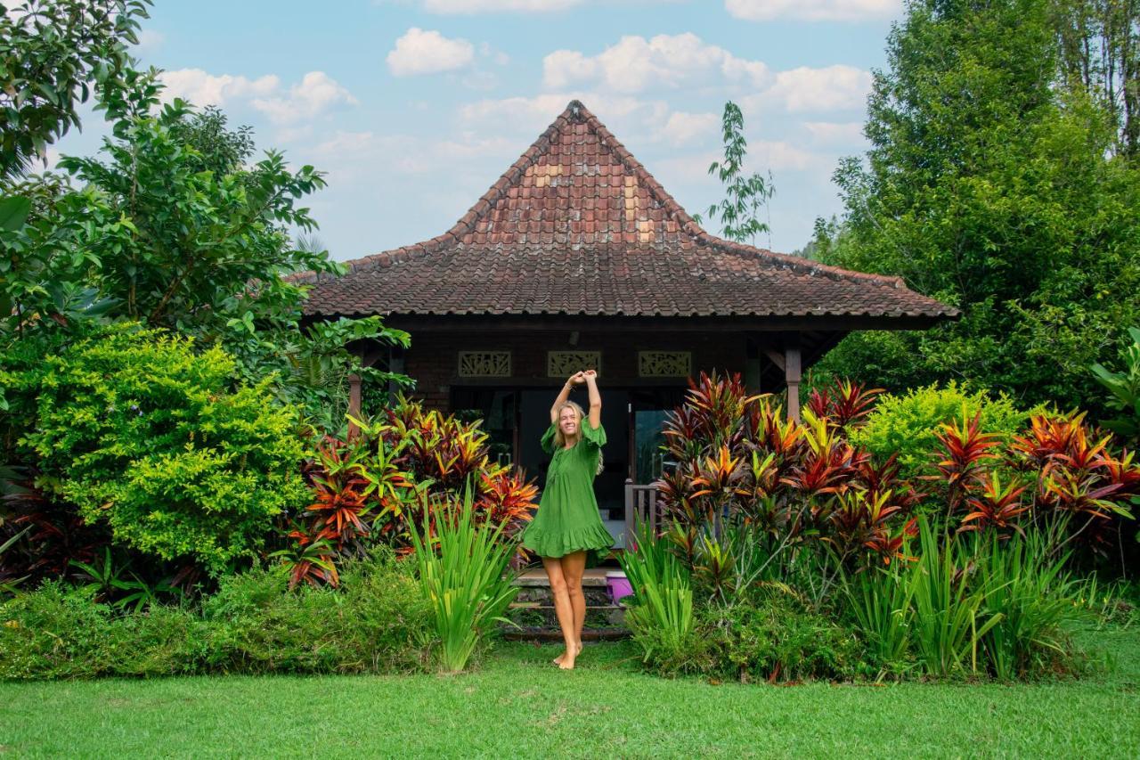 Amartya Puri Green Cottages Munduk  Bagian luar foto