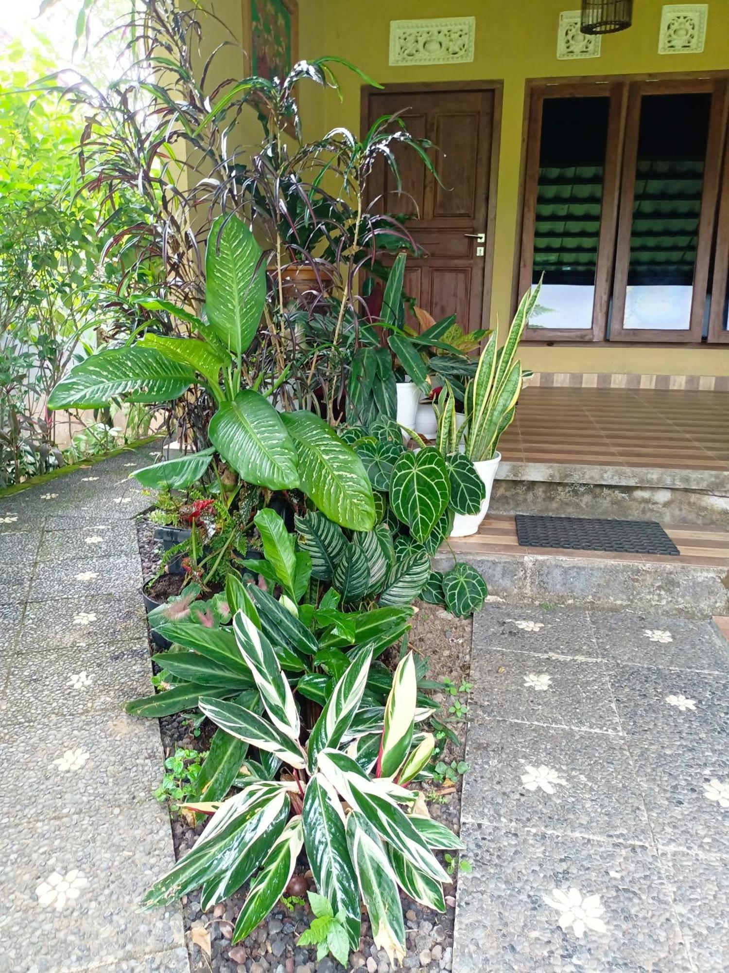 Amartya Puri Green Cottages Munduk  Bagian luar foto